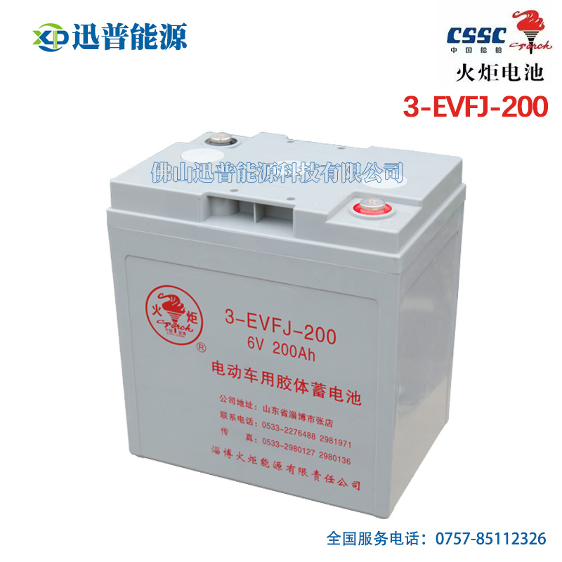 火炬蓄電池3-EVFJ-200 6V200Ah免維護電動車電瓶 高爾夫球車觀光車洗車機電池